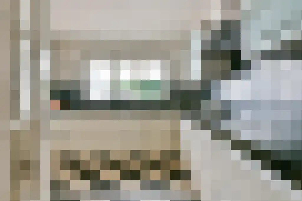 Allegondahoeve 24 Hoofddorp thumbnail 8