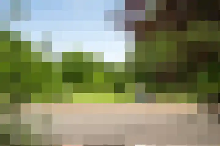 Allegro 114 Krimpen aan den IJssel thumbnail 28