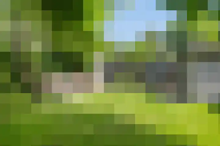 Allegro 114 Krimpen aan den IJssel thumbnail 49