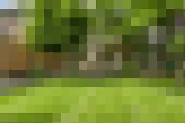 Allegro 114 Krimpen aan den IJssel thumbnail 52