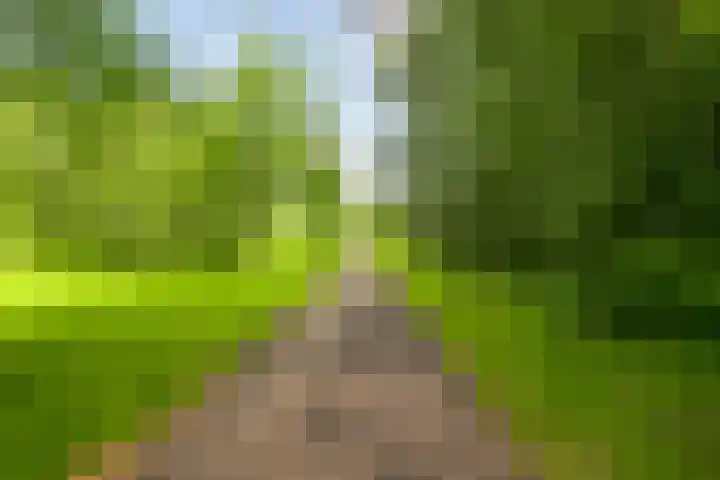 Allegro 114 Krimpen aan den IJssel thumbnail 60