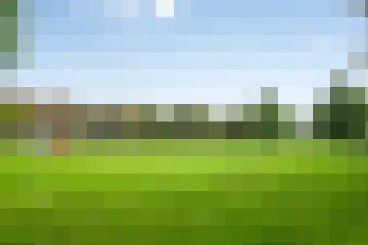 Allegro 114 Krimpen aan den IJssel thumbnail 61
