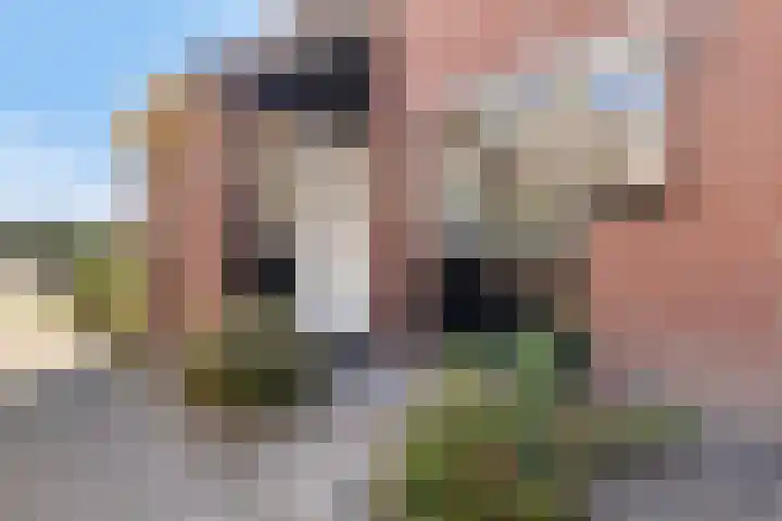 Allegro 33 Krimpen aan den IJssel thumbnail 39