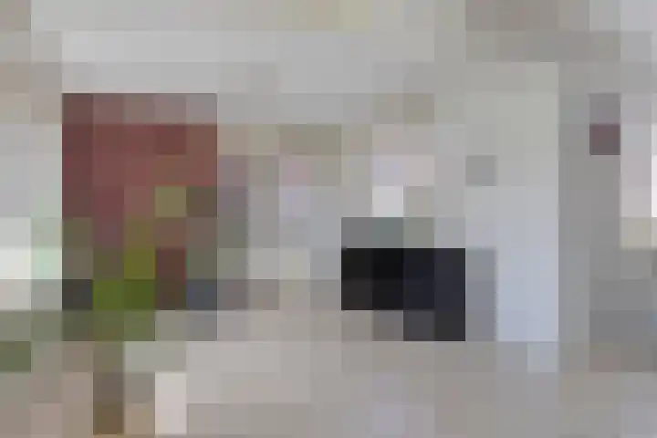 Allegro 33 Krimpen aan den IJssel thumbnail 6