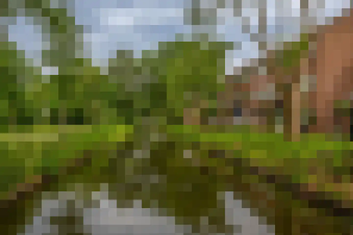 Allegro 41 Krimpen aan den IJssel thumbnail 38