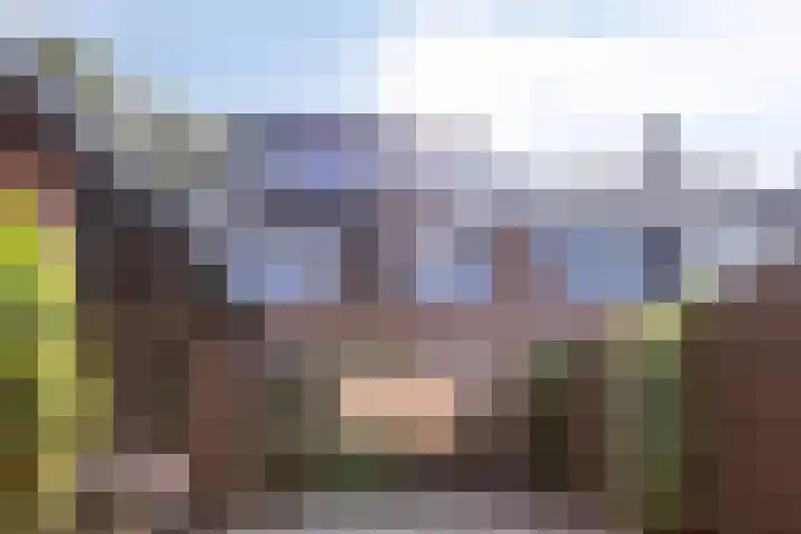 Allegro 47 Krimpen aan den IJssel thumbnail 13