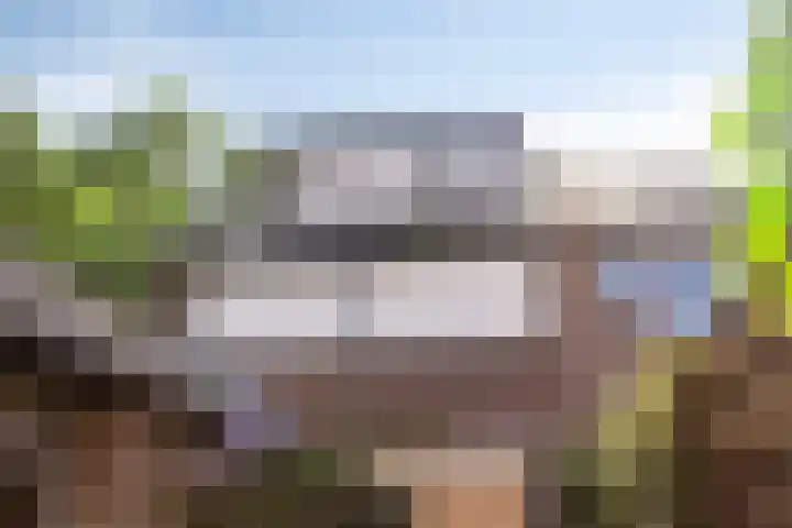 Allegro 47 Krimpen aan den IJssel thumbnail 14