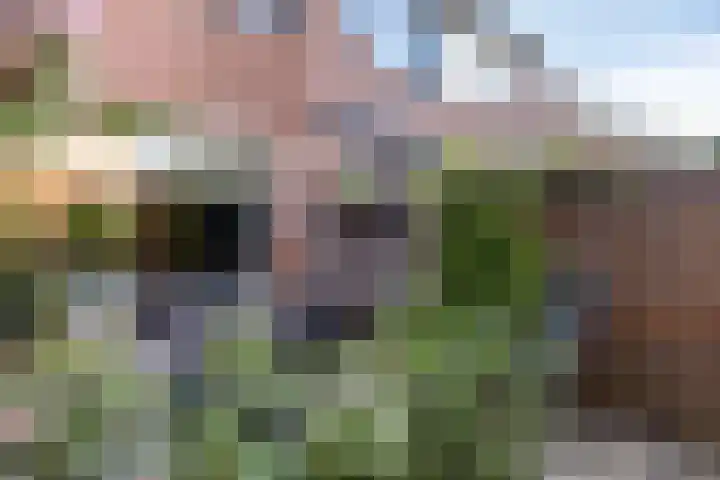 Allegro 47 Krimpen aan den IJssel thumbnail 16