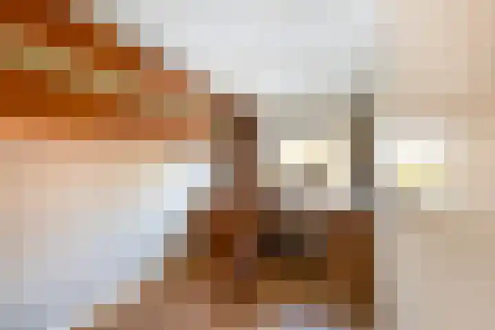 Allegro 47 Krimpen aan den IJssel thumbnail 33