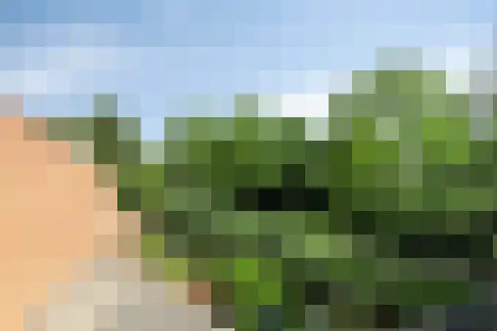 Allegro 47 Krimpen aan den IJssel thumbnail 39