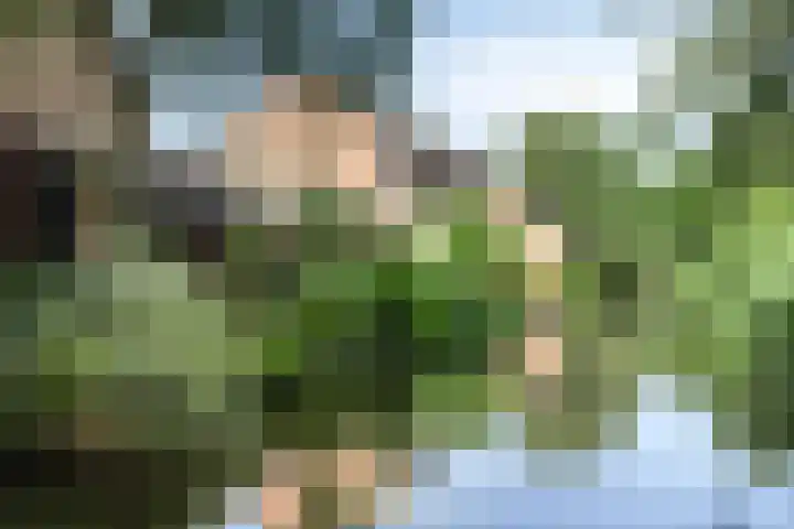 Allegro 47 Krimpen aan den IJssel thumbnail 45