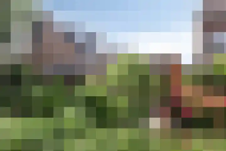 Allegro 47 Krimpen aan den IJssel thumbnail 46