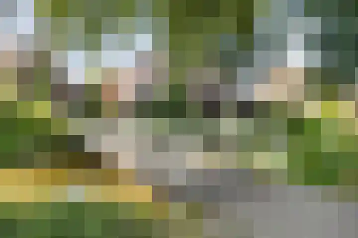 Allegro 47 Krimpen aan den IJssel thumbnail 47