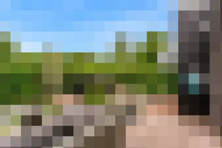 Allegrolaan 33 Arnhem thumbnail 27