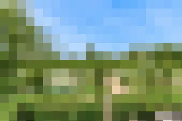 Allegrolaan 33 Arnhem thumbnail 35
