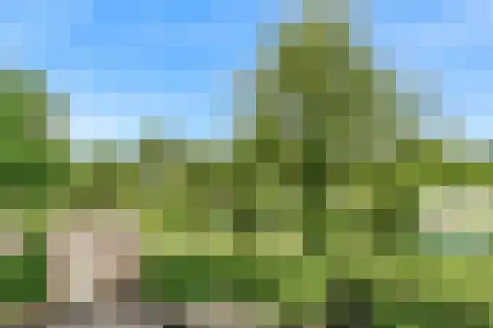 Allegrolaan 33 Arnhem thumbnail 36