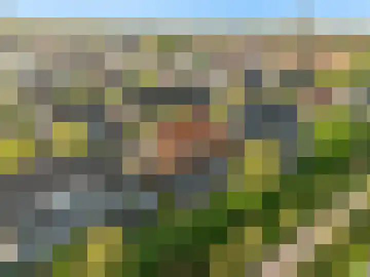 Allegrolaan 33 Arnhem thumbnail 38