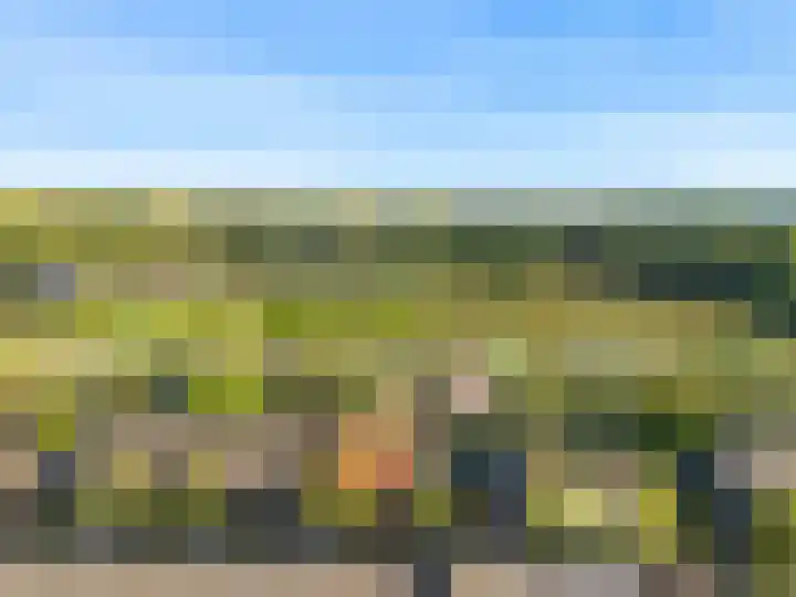 Allegrolaan 33 Arnhem thumbnail 39
