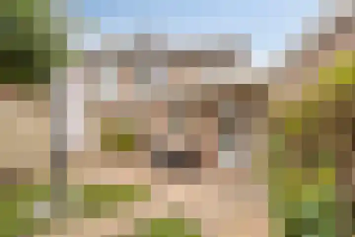 Allegrostraat 24 Venray thumbnail 28