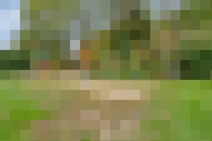 Allegrostraat 24 Venray thumbnail 31