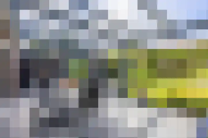 Allegrostraat 46 Venray thumbnail 29