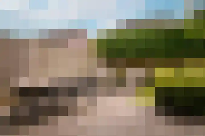 Allegroweg 32 Rosmalen thumbnail 30