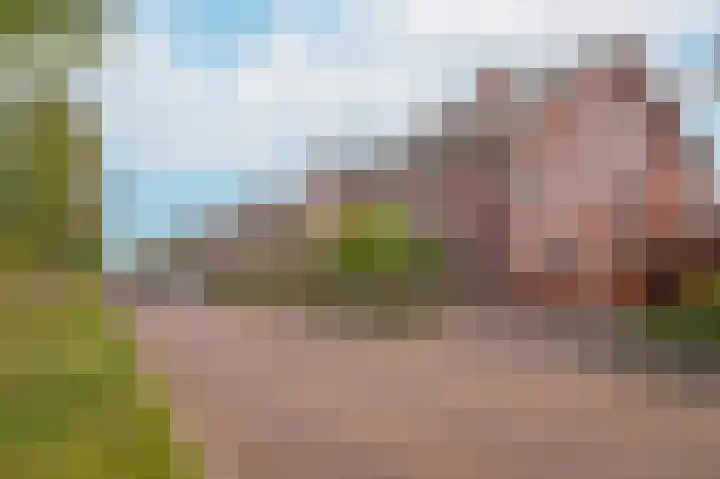 Allegroweg 32 Rosmalen thumbnail 32