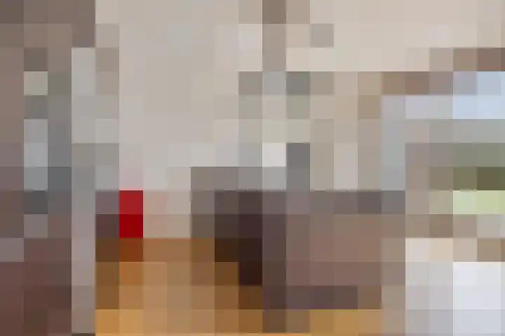 Allegroweg 6 Rosmalen thumbnail 13