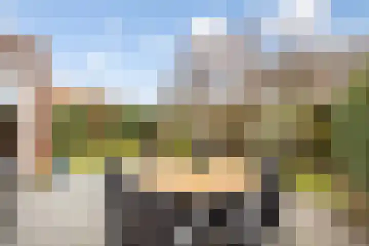 Allegroweg 6 Rosmalen thumbnail 17