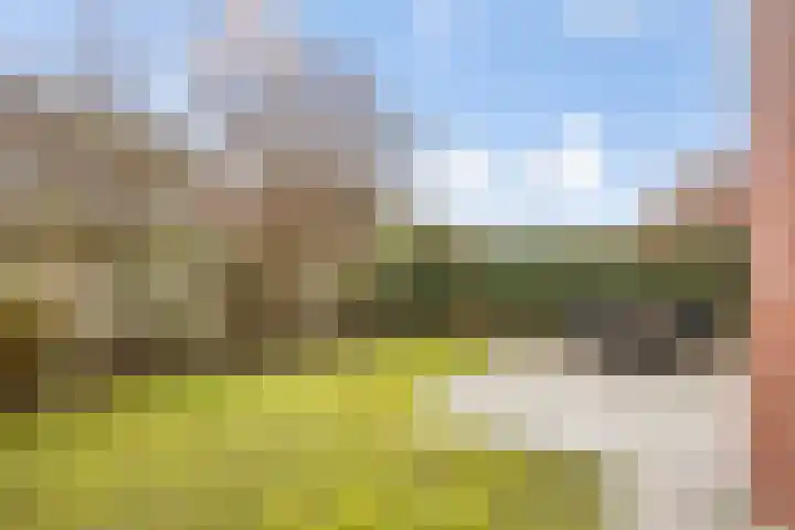 Allegroweg 6 Rosmalen thumbnail 18
