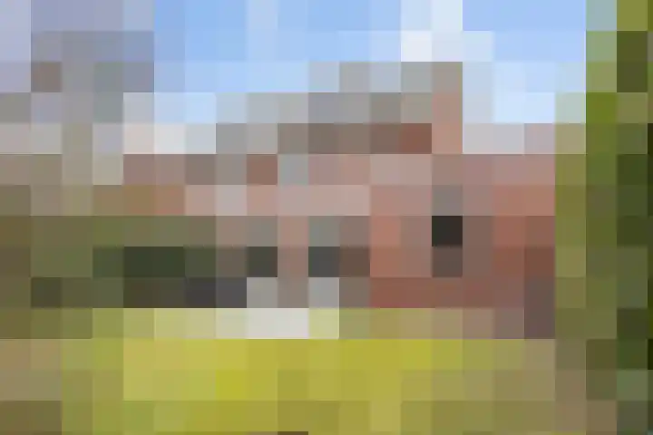 Allegroweg 6 Rosmalen thumbnail 19