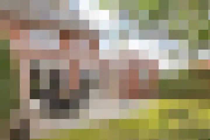 Allegroweg 6 Rosmalen thumbnail 20