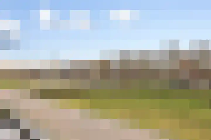 Allegroweg 6 Rosmalen thumbnail 25