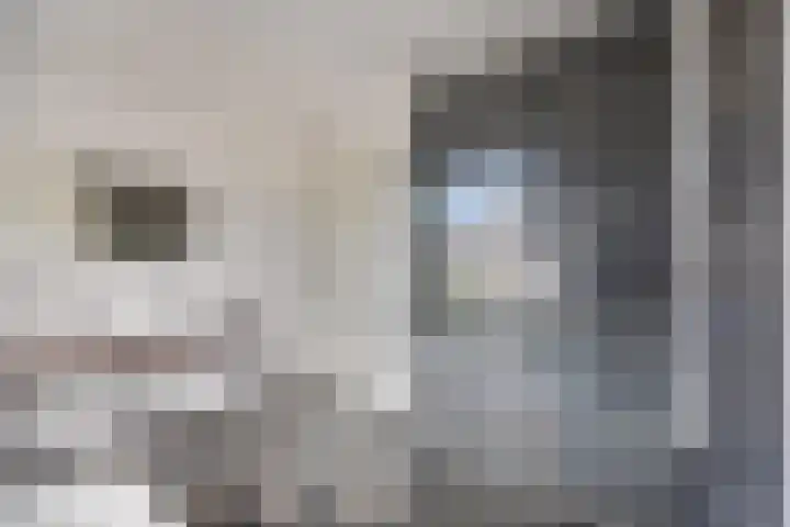 Allegroweg 6 Rosmalen thumbnail 30