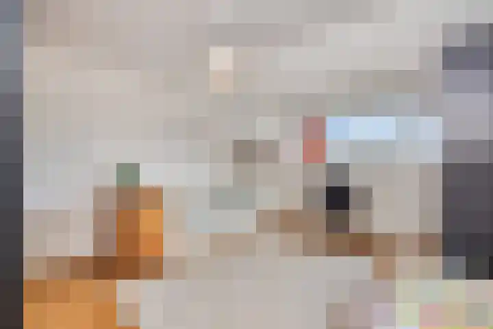 Allegroweg 6 Rosmalen thumbnail 32