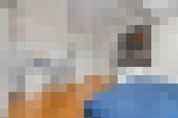 Allegroweg 6 Rosmalen thumbnail 36