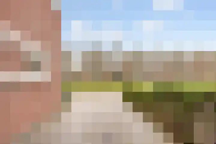 Allegroweg 6 Rosmalen thumbnail 39