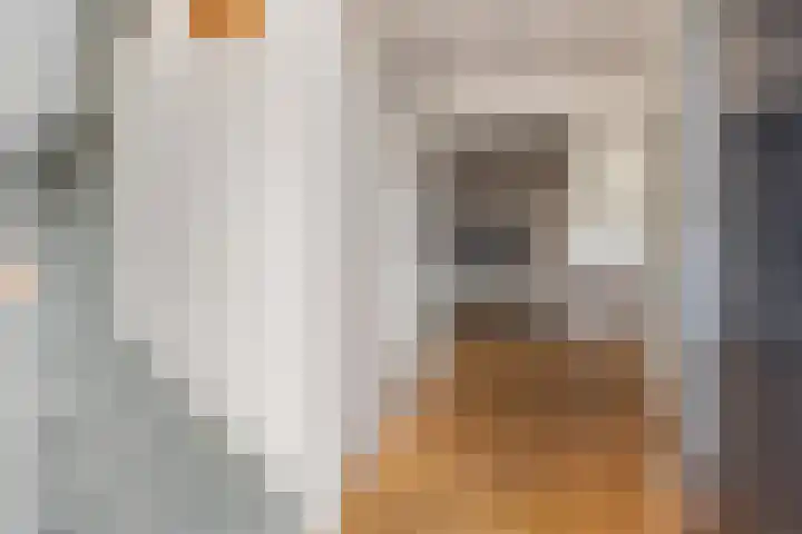 Allegroweg 6 Rosmalen thumbnail 4