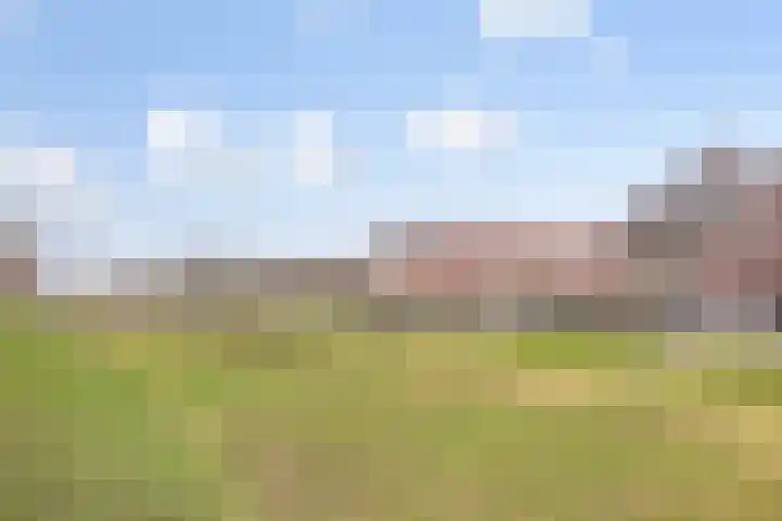 Allegroweg 6 Rosmalen thumbnail 41