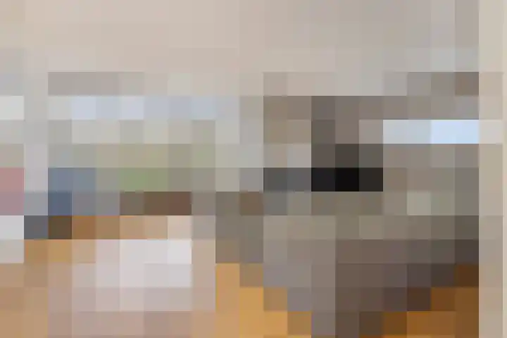Allegroweg 6 Rosmalen thumbnail 6