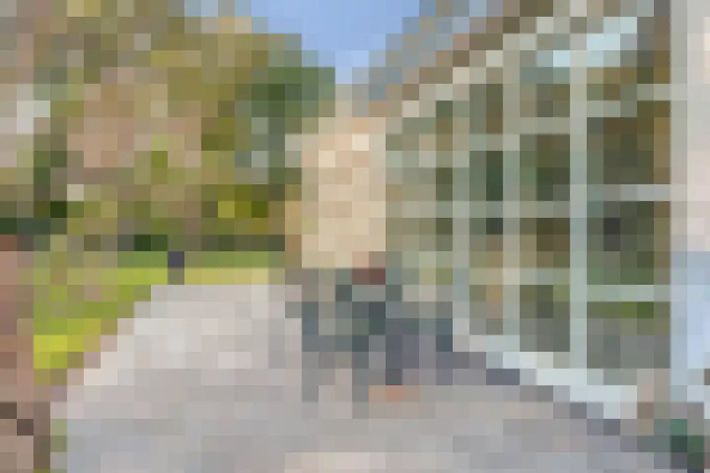 Allemansveldweg 185 Enschede thumbnail 50