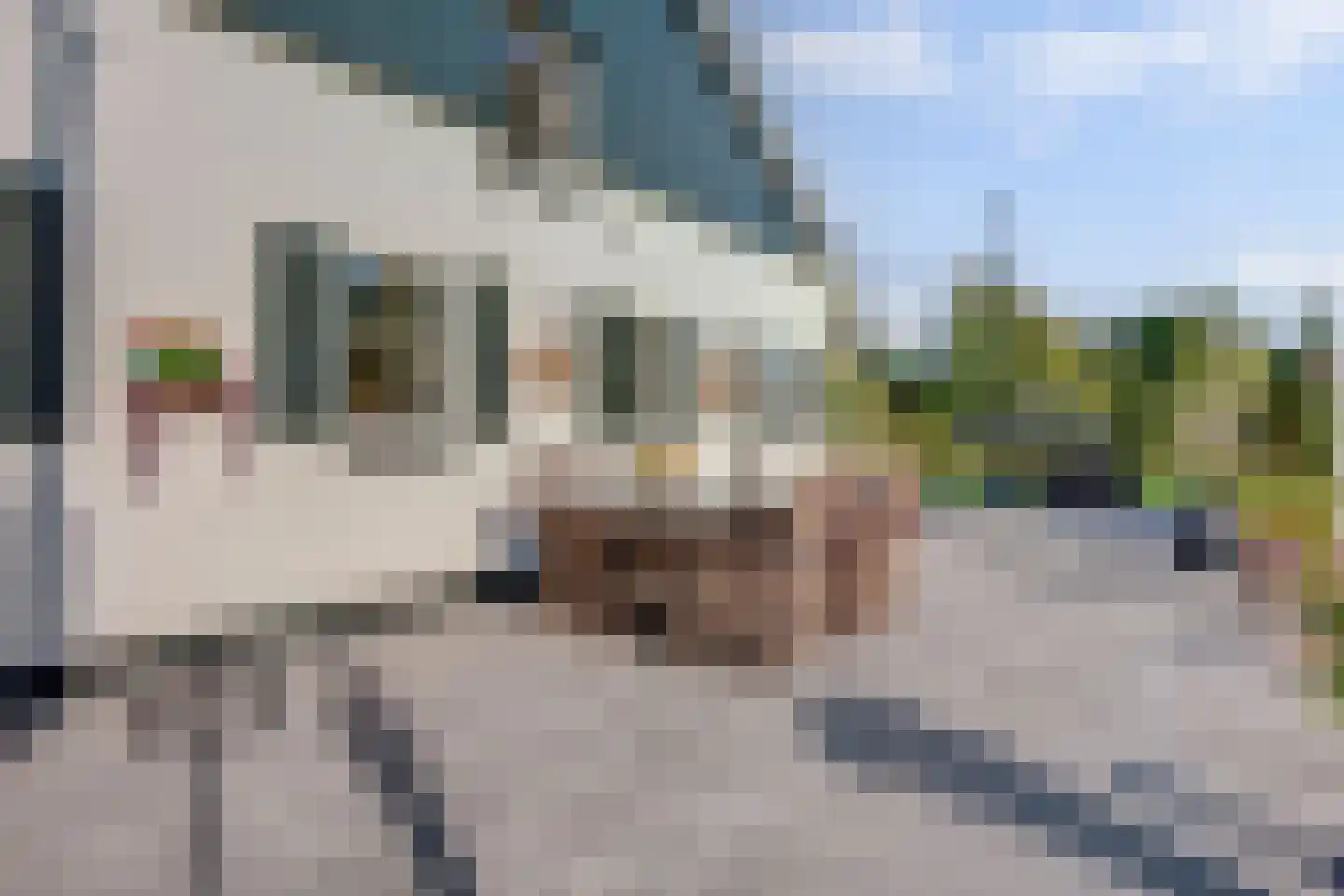 Allemansveldweg 185 Enschede thumbnail 51