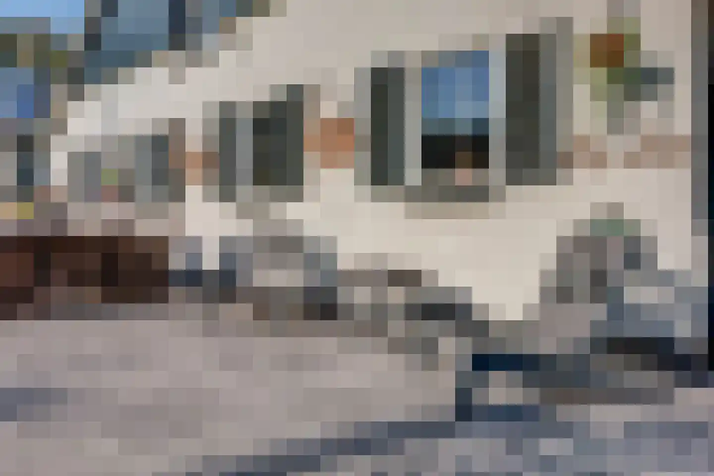 Allemansveldweg 185 Enschede thumbnail 53