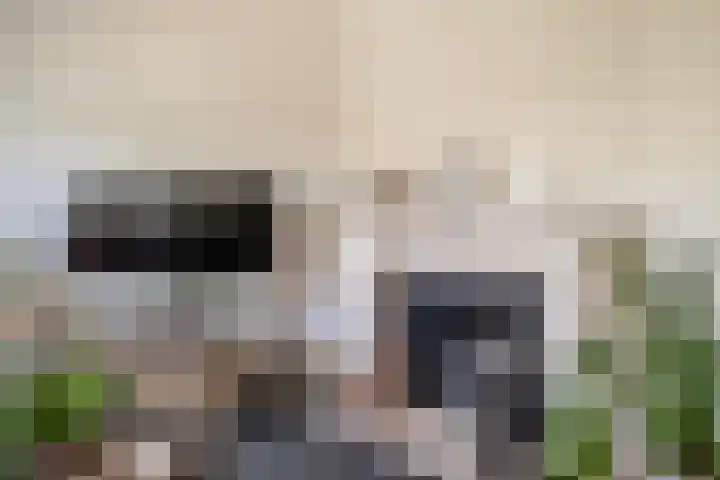 Allemansweg 10 Losser thumbnail 10