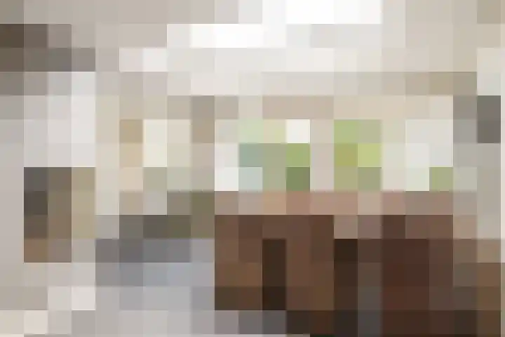 Allemansweg 10 Losser thumbnail 13