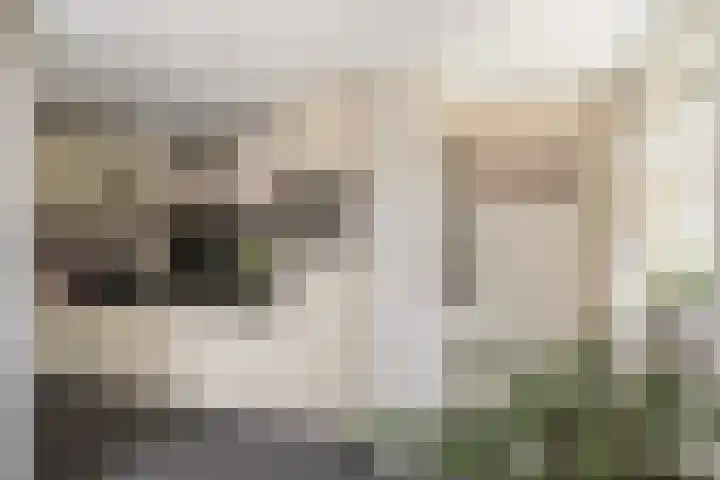 Allemansweg 10 Losser thumbnail 15