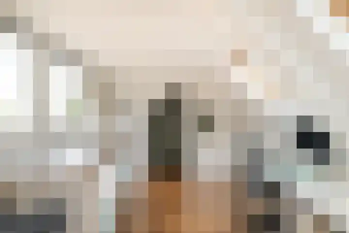 Allemansweg 10 Losser thumbnail 30