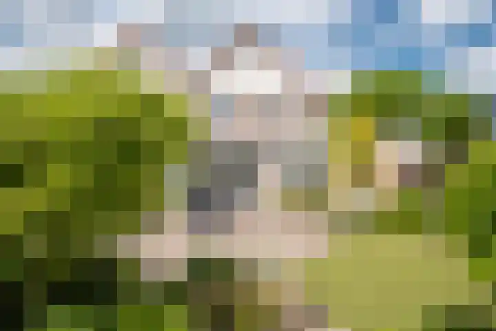 Allemansweg 10 Losser thumbnail 33