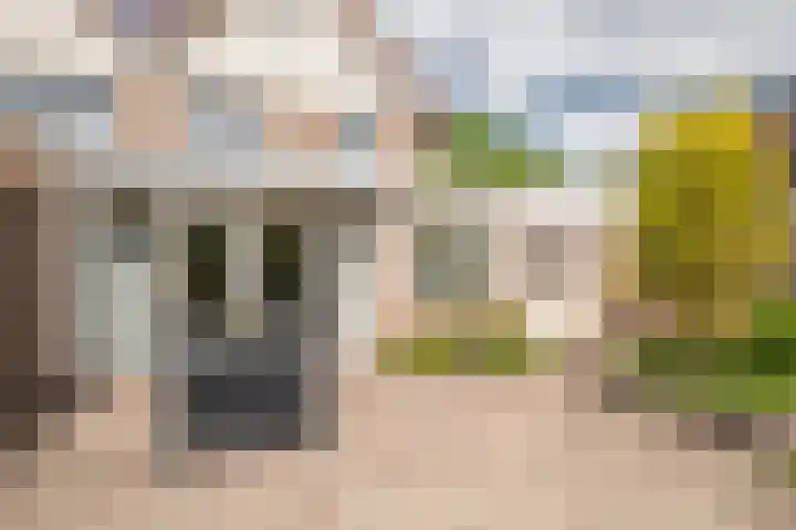 Allemansweg 10 Losser thumbnail 34