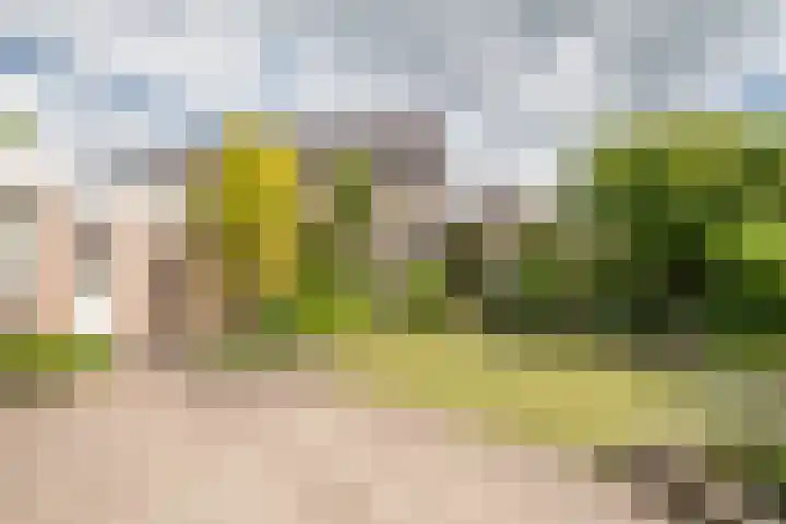 Allemansweg 10 Losser thumbnail 35
